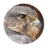 MERLIN FALCON BIRD OF PREY SCHNEIDEBRETT (Vorderseite)