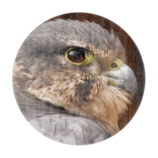 MERLIN FALCON BIRD OF PREY SCHNEIDEBRETT (Vorderseite)