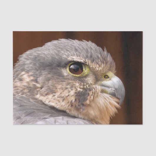 MERLIN FALCON BIRD OF PREY SEIDENPAPIER (Vorderseite)