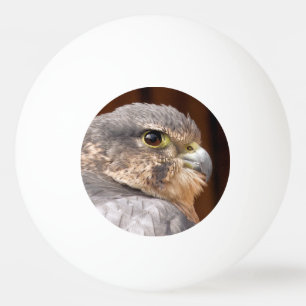 MERLIN FALCON BIRD OF PREY TISCHTENNISBALL
