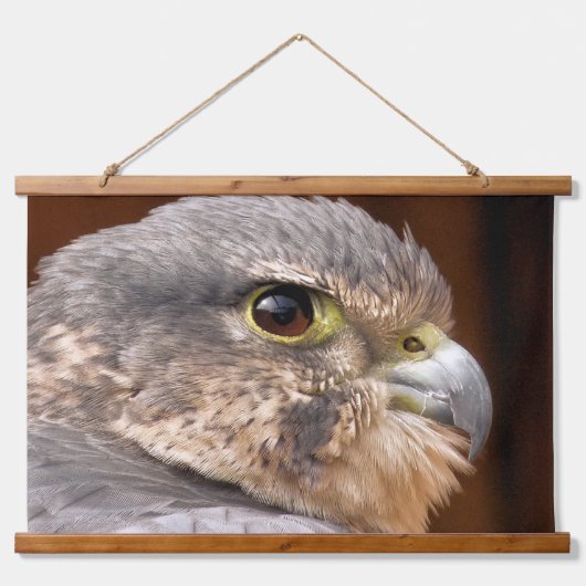 MERLIN FALCON BIRD OF PREY WANDTEPPICH MIT HOLZRAHMEN (Vorne)