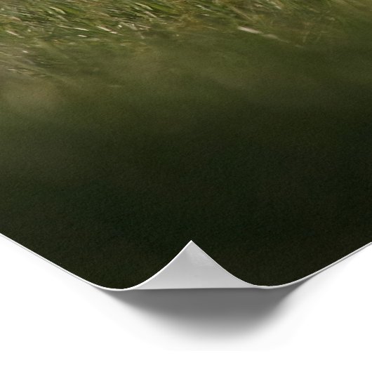 Merlin Falcon fliegt Poster (Ecke)