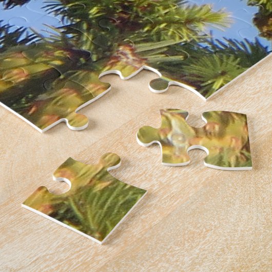 Merlin Falcon in der Pine Tree Puzzle (Seite)