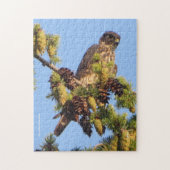 Merlin Falcon in der Pine Tree Puzzle (Vertikal)