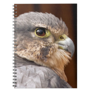 MERLIN-FALKE GREIFVOGEL NOTIZBLOCK