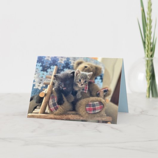 Merlin & Guinevere - Katze / Kitten - Geburtstagsk Karte (Vorderseite)