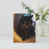 Merlin in der Tunnel-Postkarte Postkarte (Stehend Vorderseite)