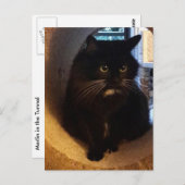 Merlin in der Tunnel-Postkarte Postkarte (Vorne/Hinten)