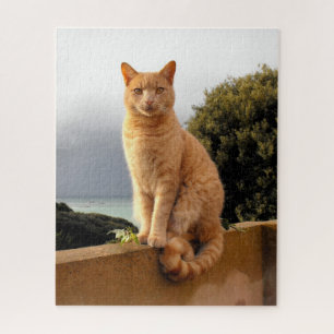 Merlin, Ingwerkatze Puzzle