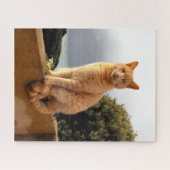 Merlin, Ingwerkatze Puzzle (Horizontal)