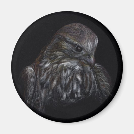 Merlin-Magnet Magnet (Vorne)