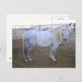 Merlin Postkarte (Vorne/Hinten)