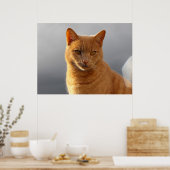 Merlin und das orb poster (Küche)