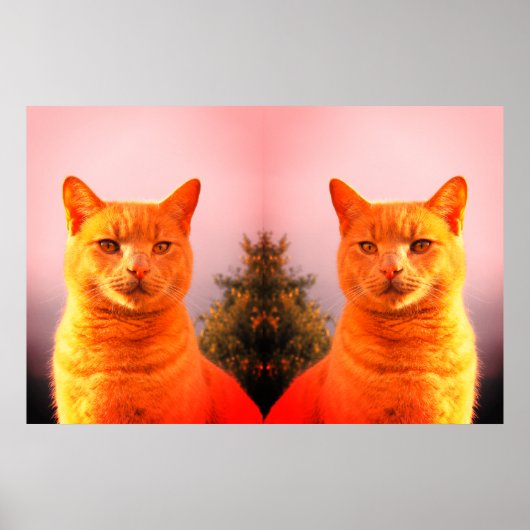 Merlin und Engel-Zwillinge-Katzen-Poster Poster (Vorne)