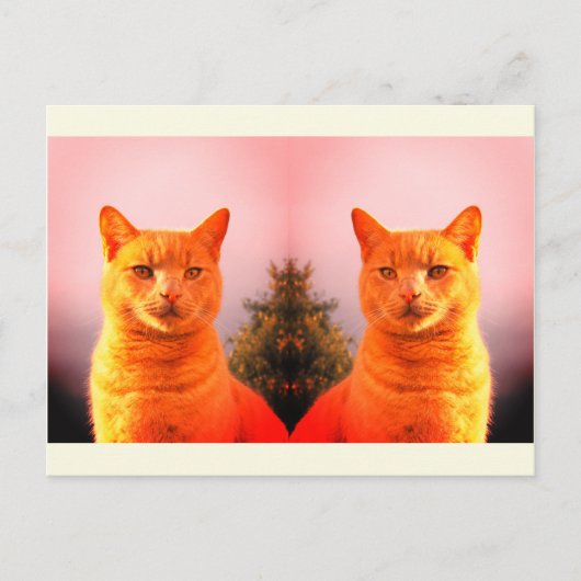 Merlin und Engel Zwillinge Postkarte (Vorderseite)