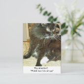 Merlins Sit-up-Postkarte Postkarte (Stehend Vorderseite)