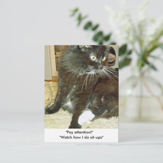 Merlins Sit-up-Postkarte Postkarte (Stehend Vorderseite)