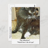 Merlins Sit-up-Postkarte Postkarte (Vorne/Hinten)