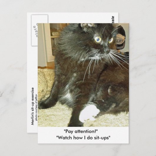 Merlins Sit-up-Postkarte Postkarte (Vorne/Hinten)