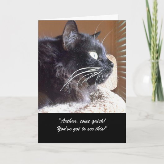 Merlins View Story Grußkarte Karte (Vorderseite)