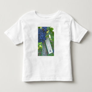 Merlot-Trauben im Chateau la Grave Figeac, einem Kleinkind T-shirt