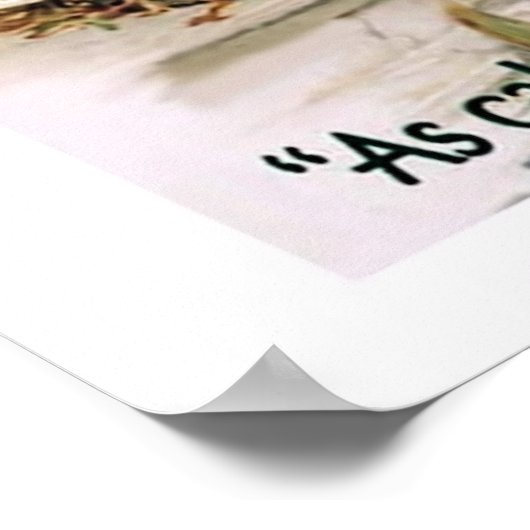 Mermaid Bath Salts Poster (Ecke)