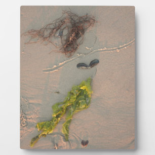 Mermaid Fotoplatte