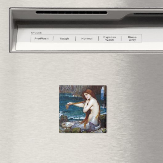 Mermaid, John William Waterhouse Magnet (In Situ (Geschirrspüler))