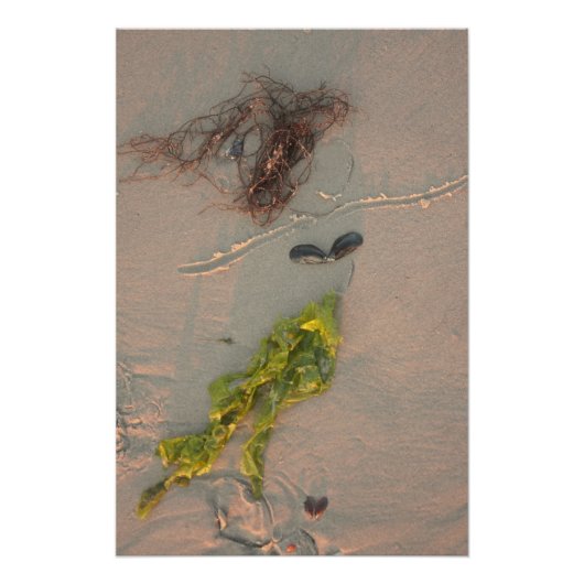 Mermaid Poster (Vorderseite)