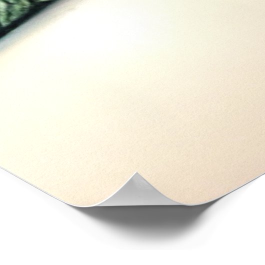 Mermaid Poster (Ecke)