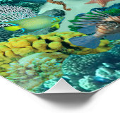 Mermaid's Coral Reef Treasure Poster (Ecke)