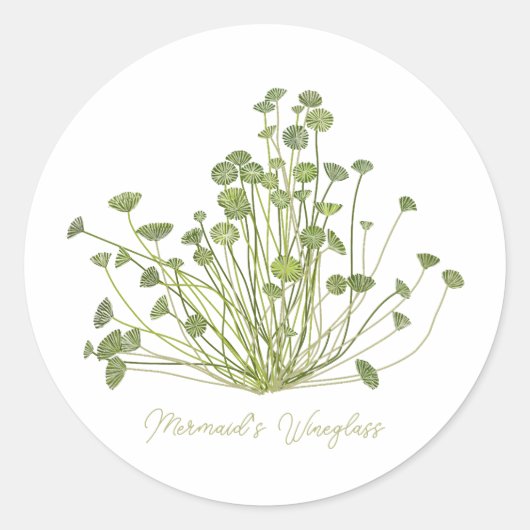 Mermaids Wineglass & Acetabularia Sea-Inspired Runder Aufkleber (Vorderseite)