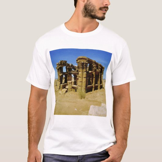Meroitic Kiosk T-Shirt (Vorderseite)