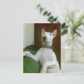 Merra Postkarte (Stehend Vorderseite)