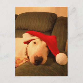 merra WeihnachtsWeihnachtsmannmütze Feiertagspostkarte