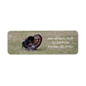 Merriam Wild Turkey Rücksendeadresse (Vorne)