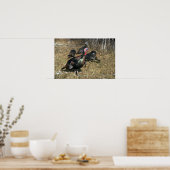 Merriams wilde Truthühner, großer Schuster und Her Poster (Küche)