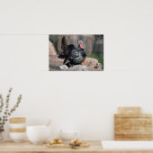 Merriams Wildtruthahn, Gobbler-Strumpfhose Poster (Küche)