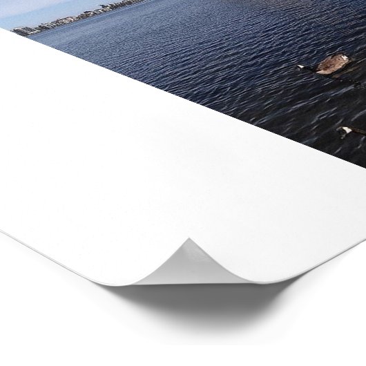 Merritt-Foto von Ahsek Novel Poster (Ecke)