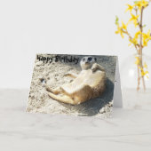 Merrkat alles Gute zum Geburtstag Karte (Gelbe Blume)