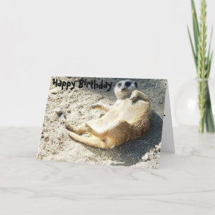 Merrkat alles Gute zum Geburtstag Karte