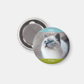 Merry and Bright Cat Kitten Weihnachts-Foto Name Magnet (Vorderseite/Rückseite)