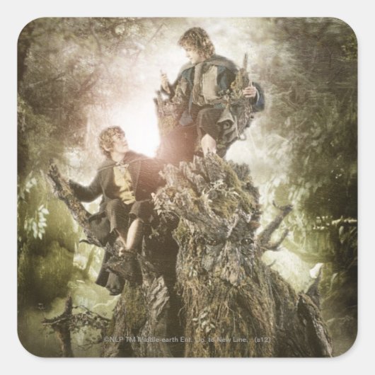 Merry and Peregrin on Treebeard Quadratischer Aufkleber (Vorderseite)