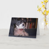 Merry Anna der Papijack Dog Karte (Gelbe Blume)