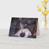 Merry Anna der Papijack Dog Karte (Gelbe Blume)