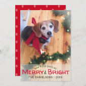 Merry & Bright Beagle Dog Red Bow Foto Weihnachten (Vorne/Hinten)