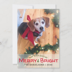 Merry & Bright Beagle Dog Red Bow Foto Weihnachten