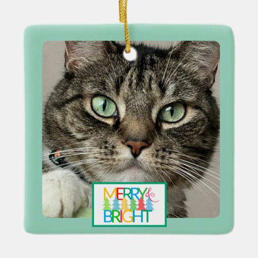 Merry & Bright Foto Ornament (Vorderseite)