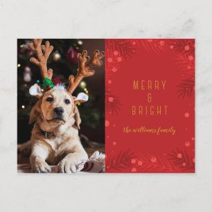Merry & Bright Fotokarte für den Urlaub Feiertagspostkarte