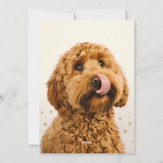 Merry & Bright Niedlich Doodle Doodle Weihnachten (Rückseite)